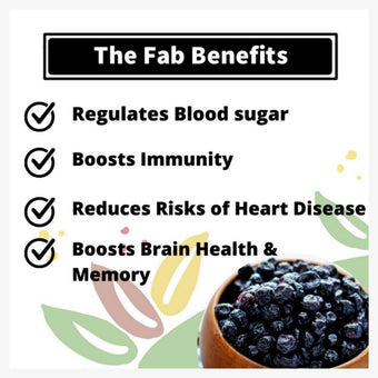 FabBox Dried Blueberries 100 Gm