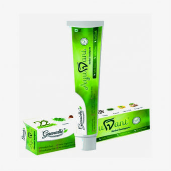 Gaunidhi Ayurdant Premium Herbal Toothpaste (100 Gm*2) Pack Of 2