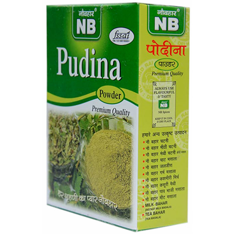 Pudina Powder 100Gms*3 (Pack Of 3)