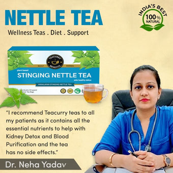 Teacurry Stinging Nettle Tea (1 Month Pack 